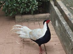 -广东茂名森林公园