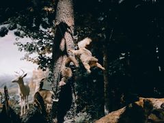 -陕西自然博物馆