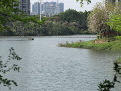 -广东花都湖国家湿地公园