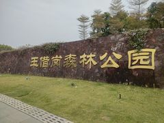 -王借岗森林公园