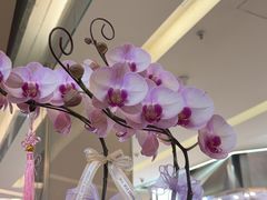 -福田卓悦INTOWN购物中心