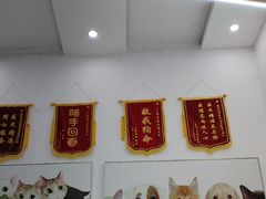 -爱侣宠医·鹦鹉专科·小型哺乳类·异宠专科(灵石路店)