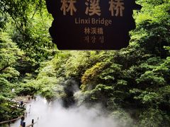 -西岭雪山大飞水景区