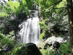 -大围山国家森林公园