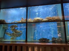 -珍宝海鲜JUMBO Seafood(尚嘉店)