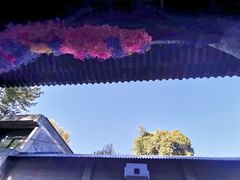 -嵩祝寺及智珠寺