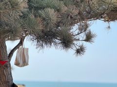 -威海国际海水浴场旅游区