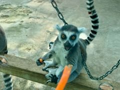 -水上乐园·欢乐世界