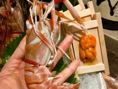 鳌虾刺身-和彩放题餐厅(酒仙桥店)