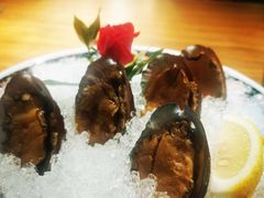 手工冰镇鲍鱼-木棉·醉心粤味(COCO Park店)