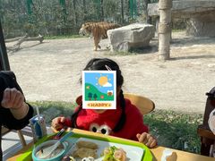 -上海野生动物园老虎餐厅