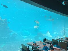 -海棠湾洲际-涛·海底餐厅·美人鱼·自助餐·海底隧道
