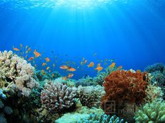 -亚龙湾海底世界