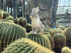 -南山植物园