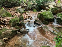 -五女峰国家森林公园