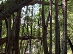 -乌山风景区
