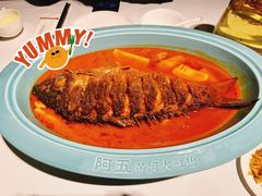 -阿五黄河大鲤鱼(纬三路店)