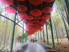 -陶祖圣境风景区