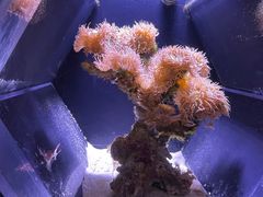 -郑州海洋馆