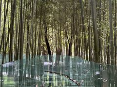 -竹泉村旅游度假区