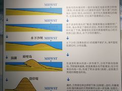 -天津古林古海岸遗迹博物馆