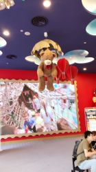 -Hamleys哈姆雷斯(东方福来德店)