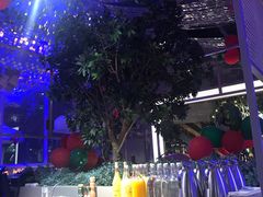 -维苏唯披萨(青云街店)