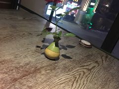 -青叶202都市餐厅(迪诺水镇店)
