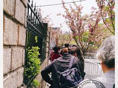 -嘉定紫藤园