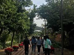 -石排湾郊野公园