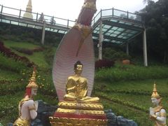 -西双版纳勐泐文化旅游区