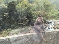 -西岭雪山大飞水景区