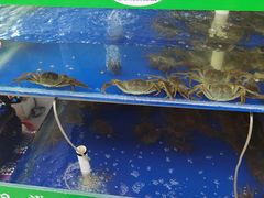-阳澄湖大闸蟹·琼灵阁牌品牌连锁(吴中总店)