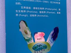 -陕西自然博物馆