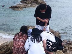-盐洲岛