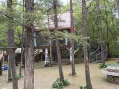 -香炉山国家森林公园