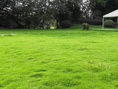 -老房子金沙元年川菜食府·草坪婚礼(毗河店)