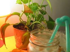 -Babycat私家御饼屋(龙头路一店)