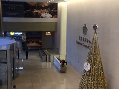 -英皇电影城(英皇集团中心IMAX店)