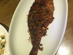 -一轩饺子馆(丽都店)