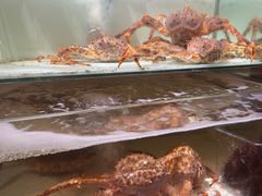 -樱之盛宴·蟹料理海鲜自助(前进大街店)