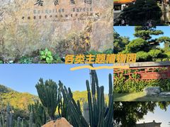 -深圳市中科院仙湖植物园
