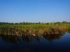 -溱湖国家湿地公园
