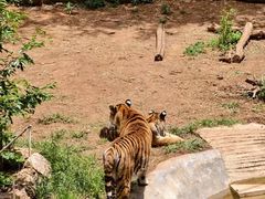 -昆明动物园