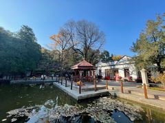 -香山公园