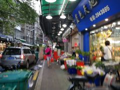 -溪岸路花鸟市场