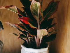 -荷花亭·湖北融合菜(十堰武商MALL店)