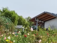 -嘉北郊野公园