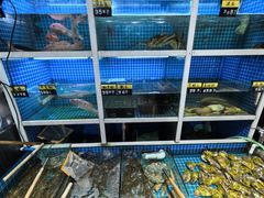 -金龙·打边炉(南京西路店)