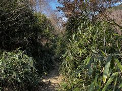 -溪口商量岗景区